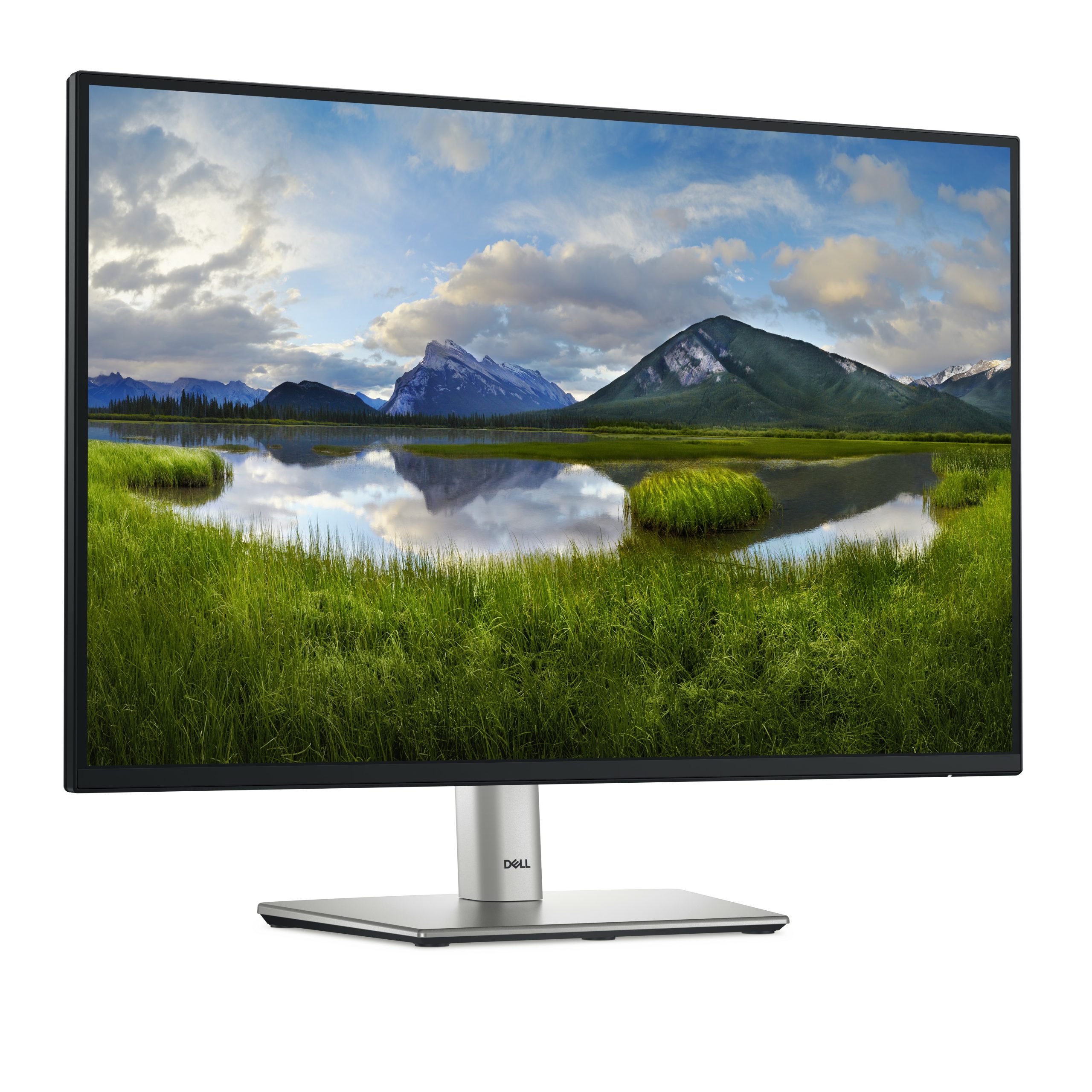 DELL Pro Plus P2425 computer monitor 61.1 cm (24.1") 1920 x 1200 pixels WUXGA LCD Black - Image 3